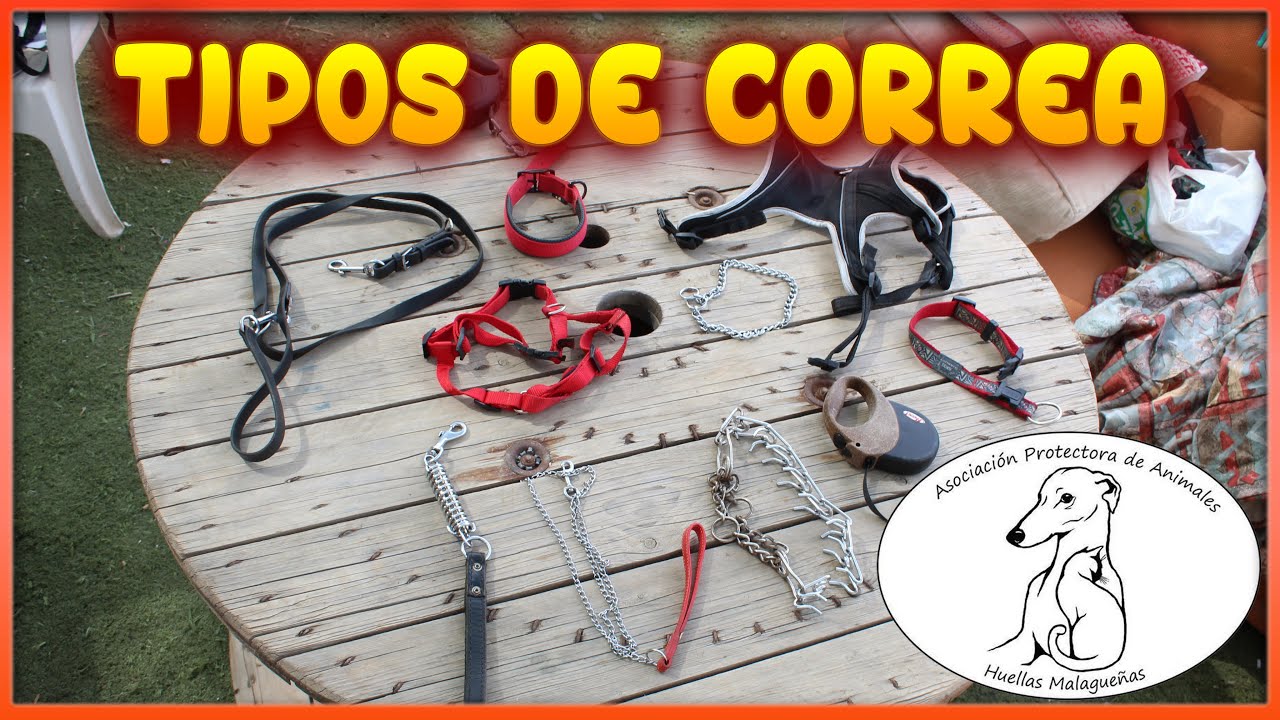 Tipos de Correas