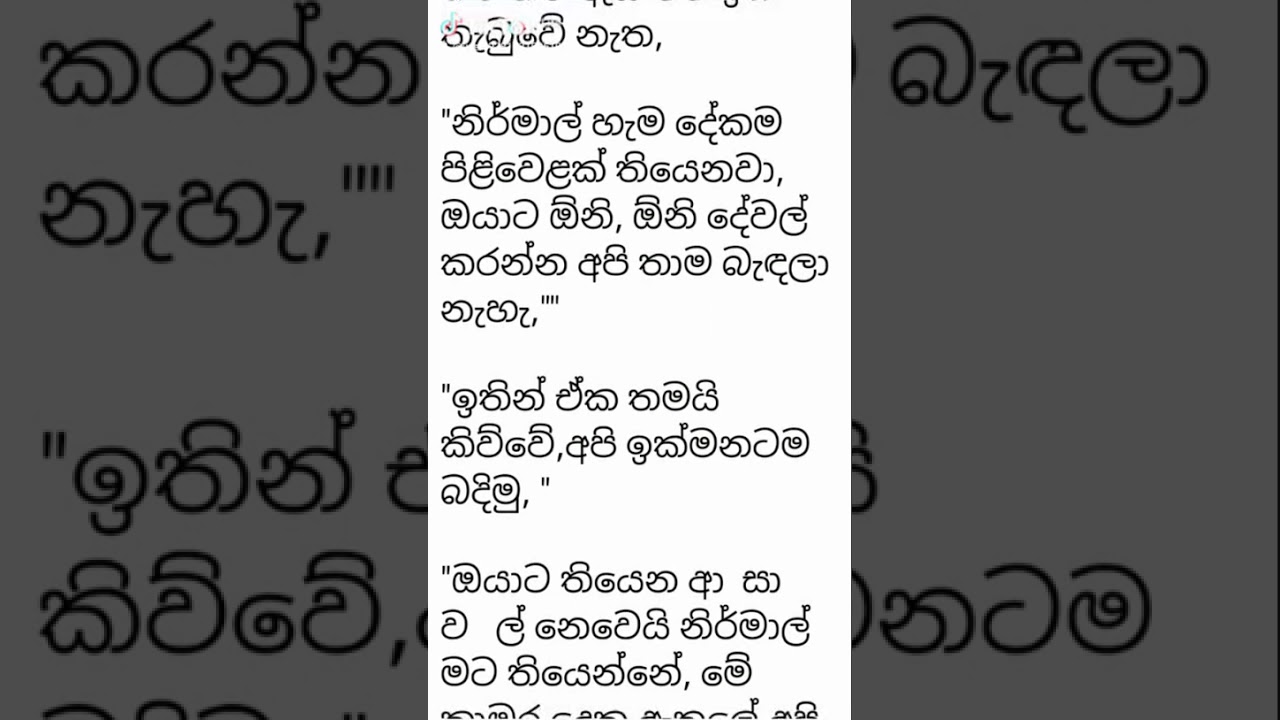 25 January 2026
