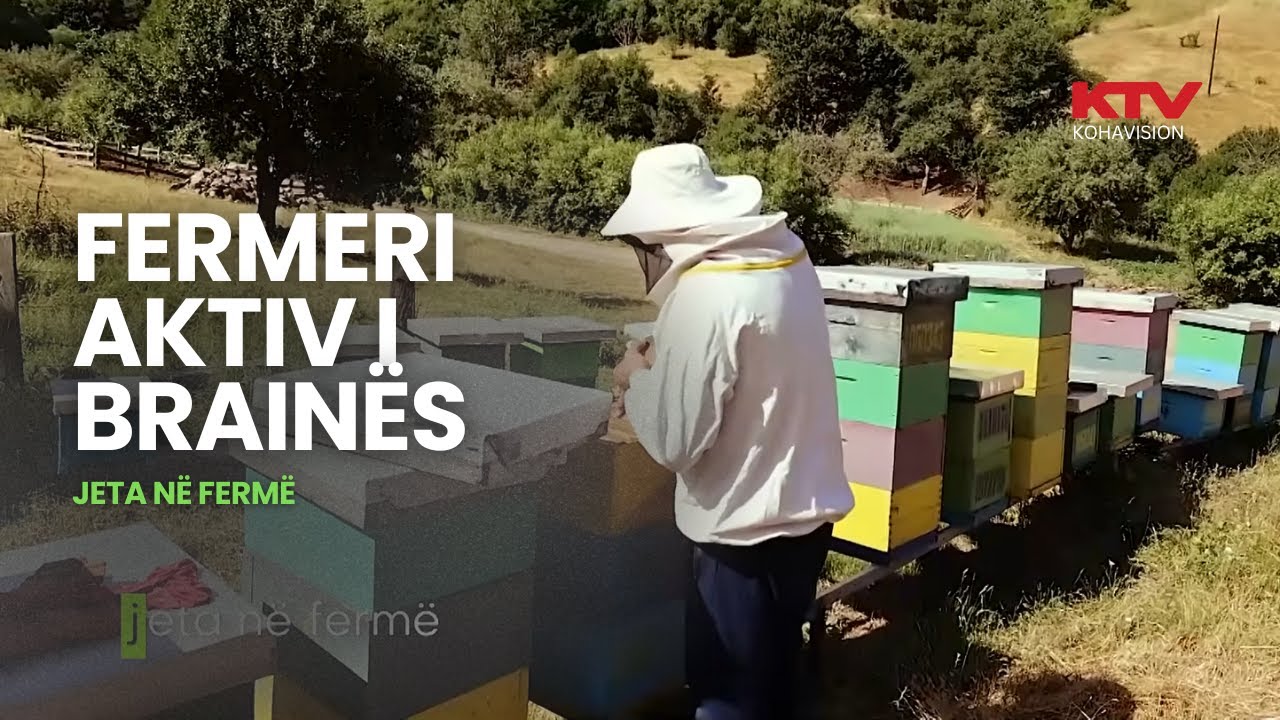 Nga bletët, ferma me lopë e bujqësia, ky është fermeri aktiv i Brainës