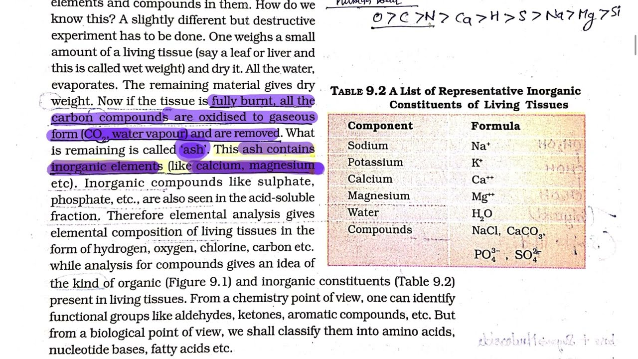 Biomolecules Full Chapter in One Shot 🔥 NCERT Line by Line | NEET 2026#neet2026 #neet #11th #ncert