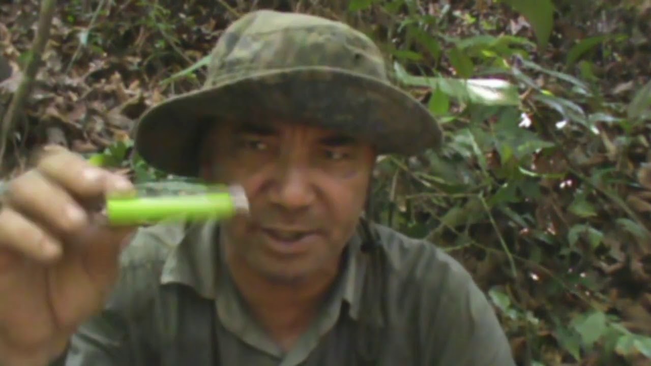 05 itens que voc&ecirc; n&atilde;o pode esquecer de levar para selva!
