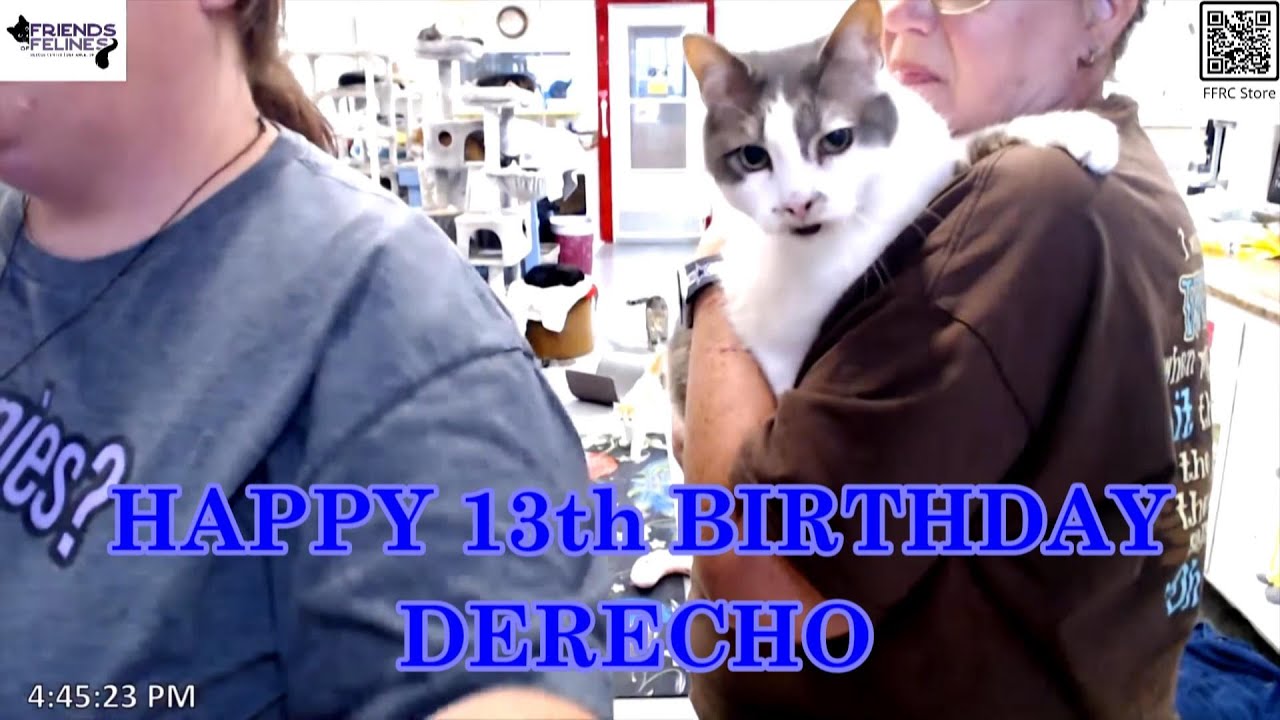 Derecho's Birthday Party 05-16-2025 by StripeyD Friends of Felines Rescue Center (FFRC)