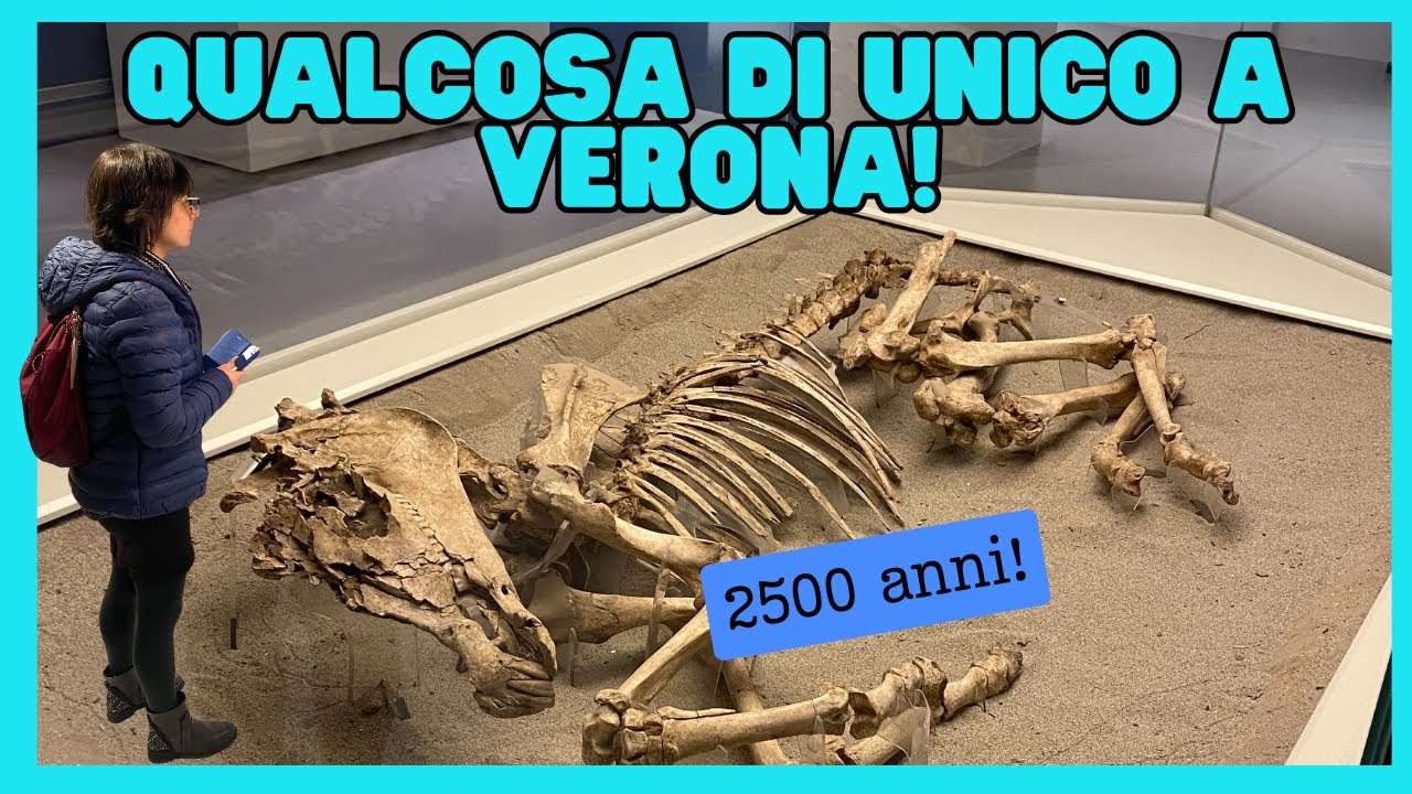 Scopri il Passato di Verona: Museo Archeologico Nazionale, Viaggio nel Tempo! 🏛️🔍