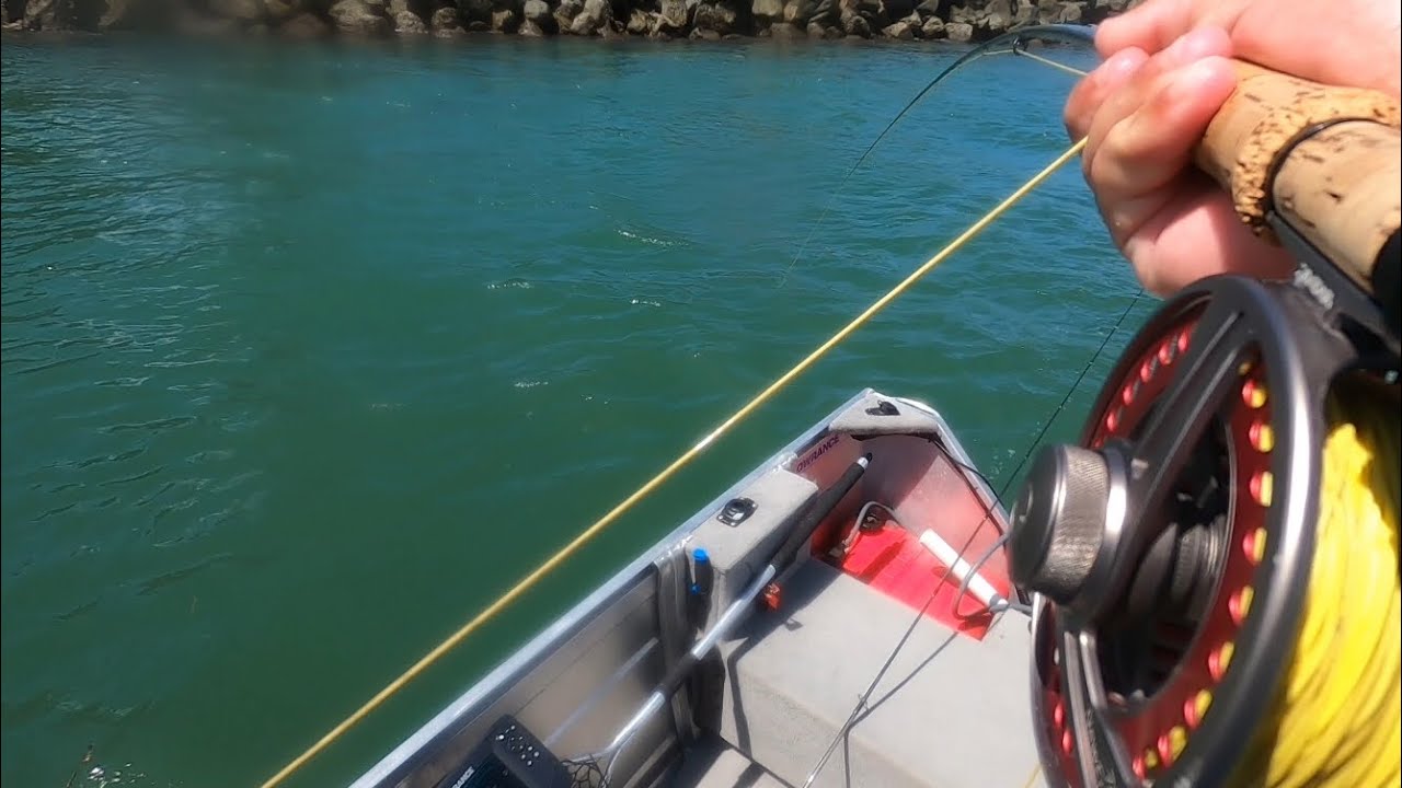 Catching Queen fish on fly || Gold Coast saltwater fly fishing