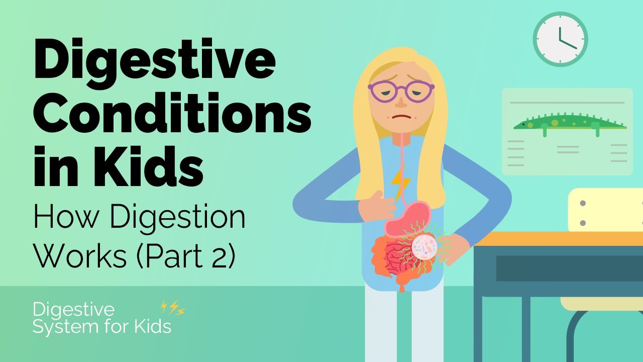Digestive Conditions in Kids (How Digestion Works Part 2) | Digestive System for Kids