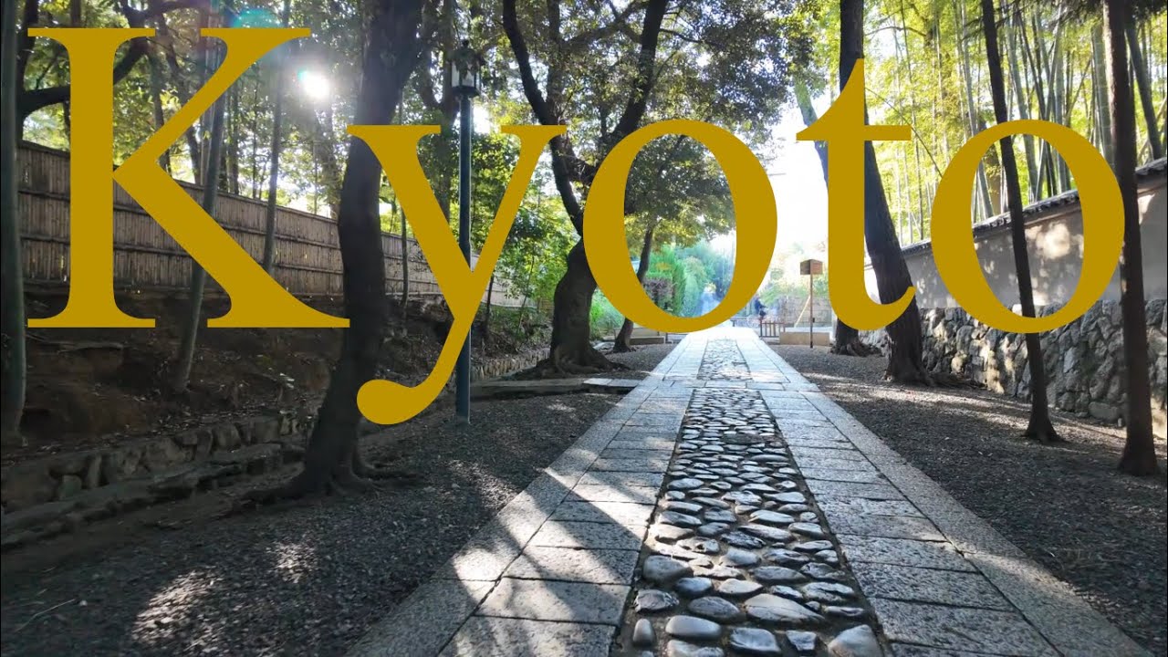京都市の紫野地域を散策　Walking Tour in Murasakino District, Kyoto, Japan