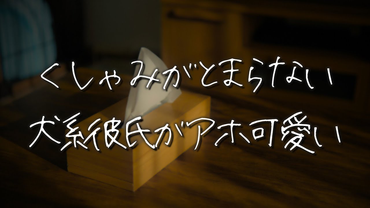 【女性向け】くしゃみが止まらない年下犬系方言彼氏が甘えてきて可愛いのに面白くて笑ってしまう【シチュエーションボイス】 #asmr