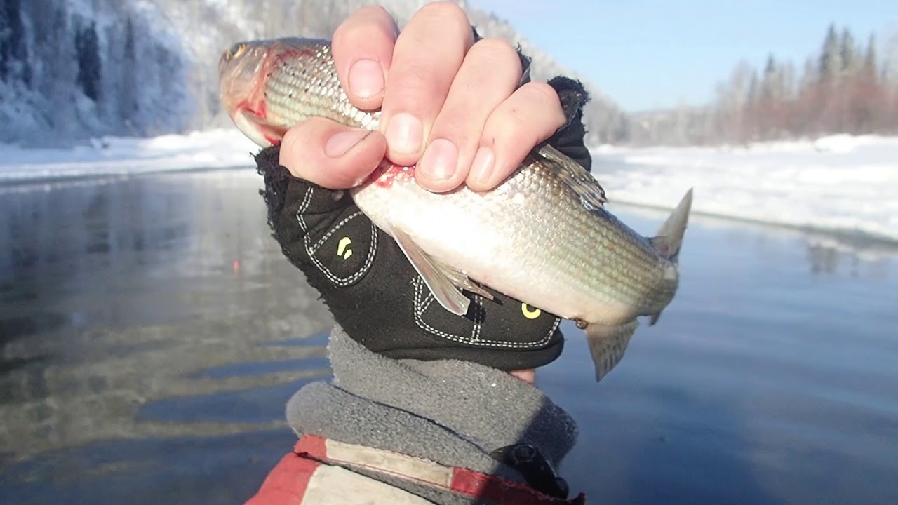 Верхняя Терсь. Закрытие сезона 2018_11_11