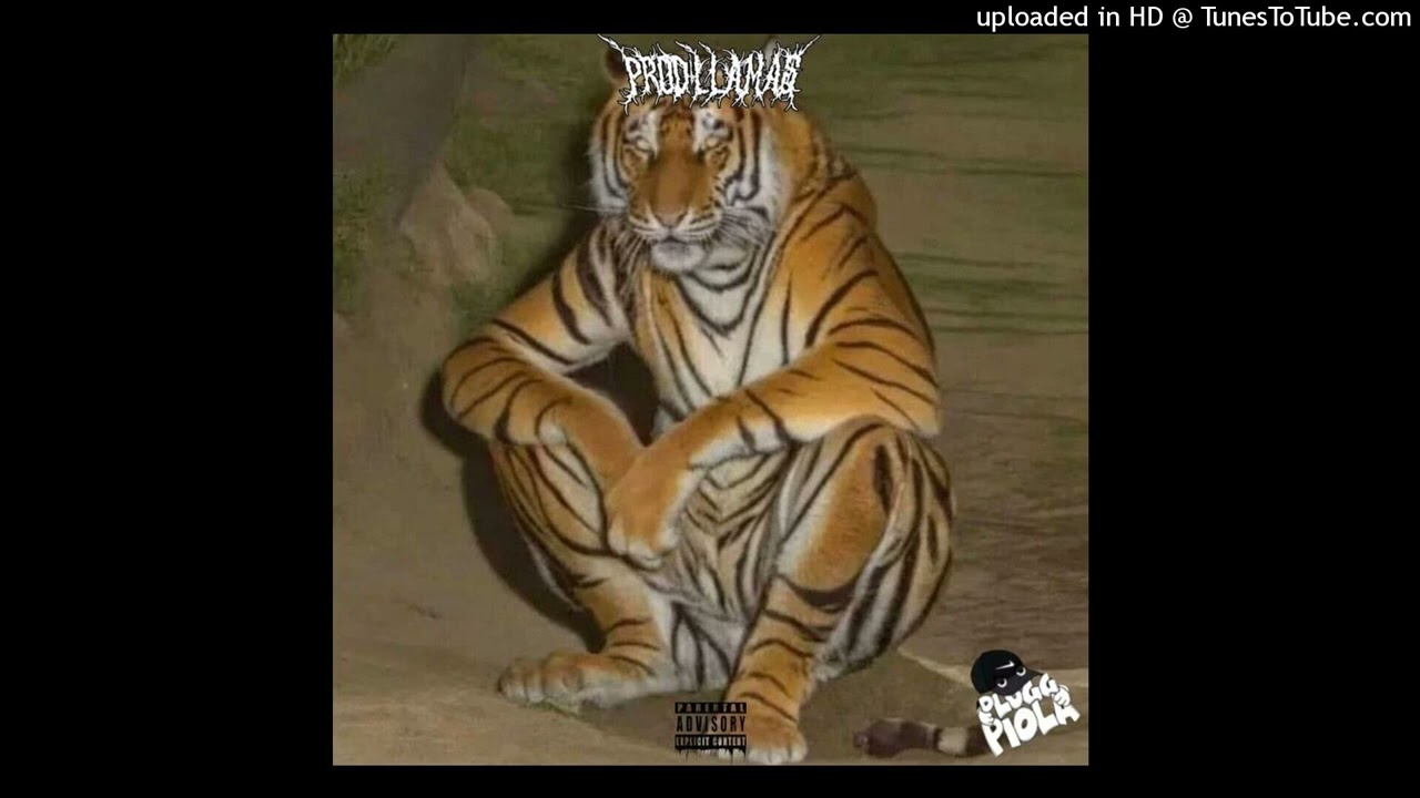 [FREE] brocasito + plugg piola + tuw4 type beat - “tigre toño” prod. llamas