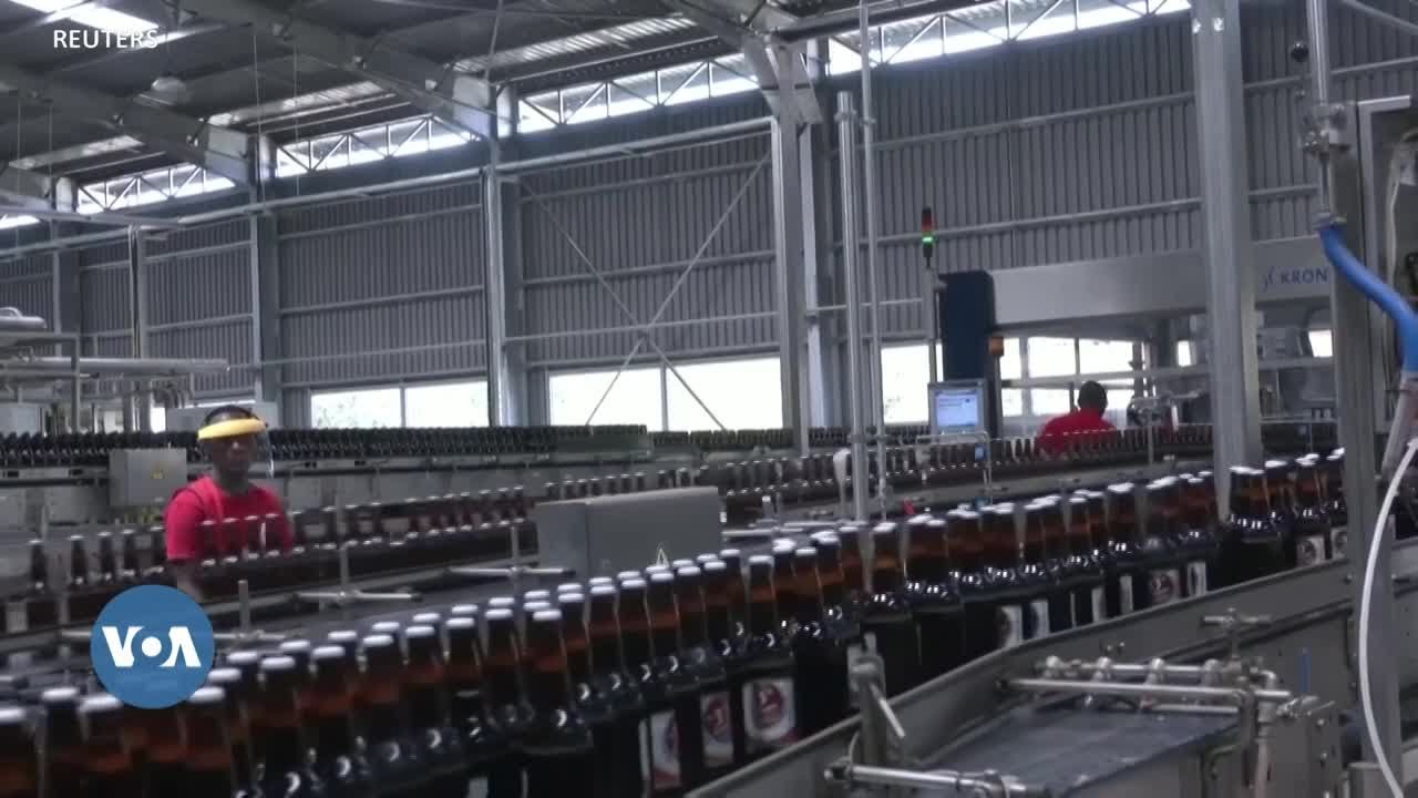 D&eacute;couverte de la bi&egrave;re congolaise Brasimba