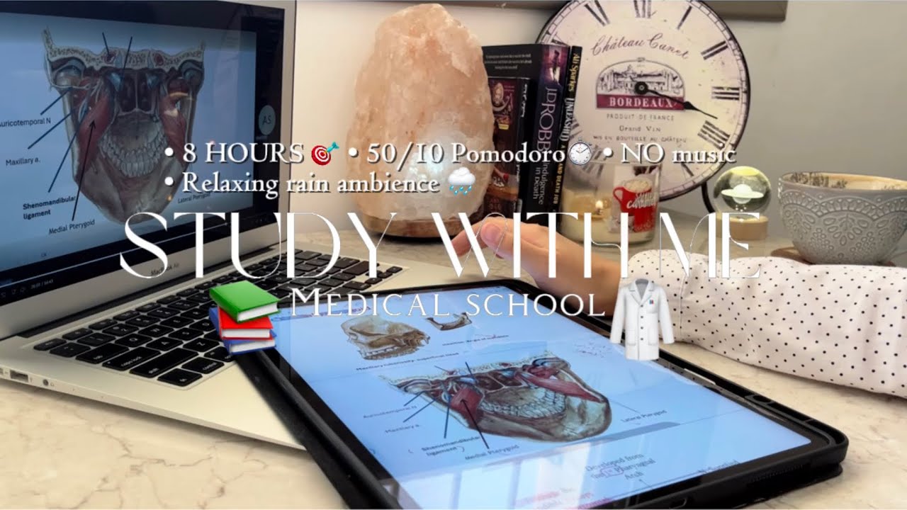 Study with me 8 hrs 🩺 | MEDICAL SCHOOL 🏫- 50/10 pomodoro - no music 🎧