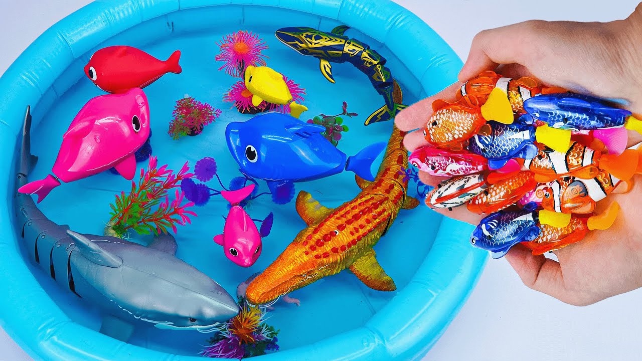 [🦈toy asmr🦈] ZURU Robo Shark & RC Mosasaurus & Robo Turtle Swimming ASMR 💙 Satisfying with Unboxing