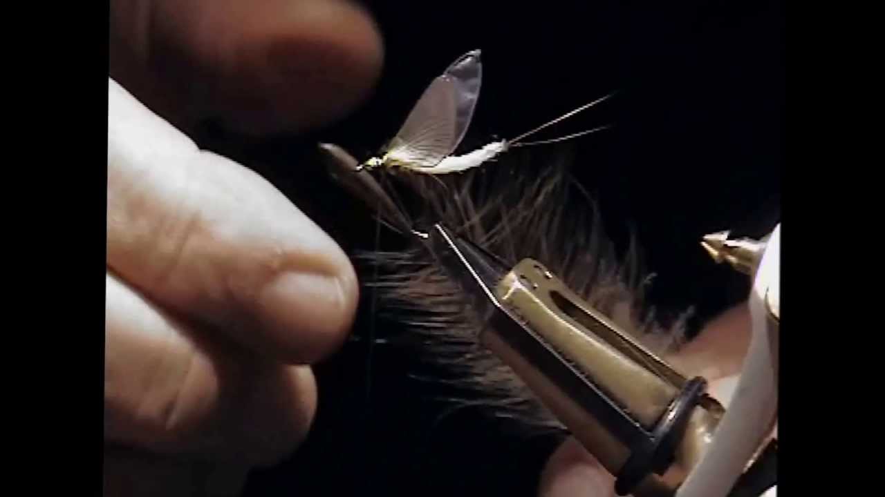 Costruzione Osvaldo Gilli - May Fly extended body