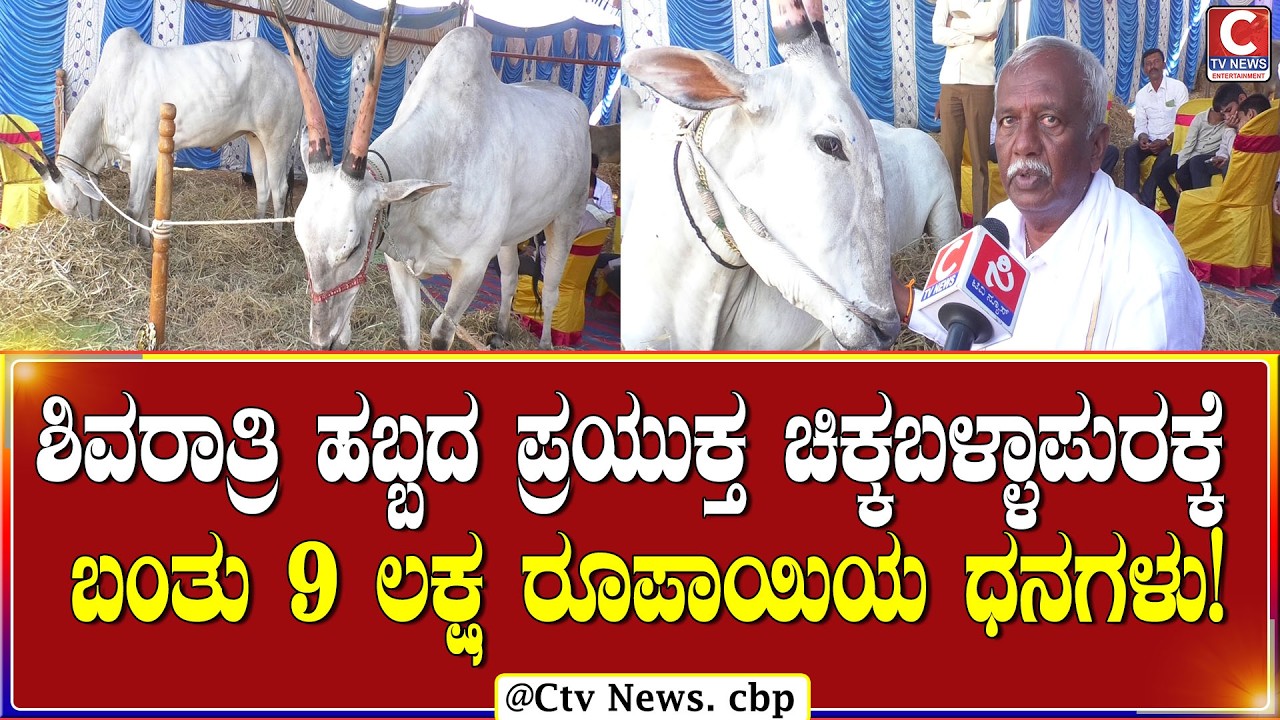 | ಚಿಕ್ಕಬಳ್ಳಾಪುರ  | ದೈತ್ಯಾಕಾರದ ಹಳ್ಳಿಕಾರ್ ಒಂದು ಜೊತೆಗೆ ಒಂಬತ್ತು ಲಕ್ಷ ರೂಪಾಯಿ! | CTV NEWS