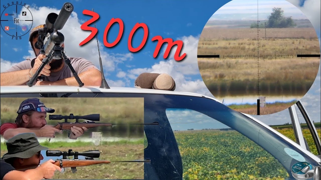 Taking 22 cal (rimfire and PCP) out to 300m