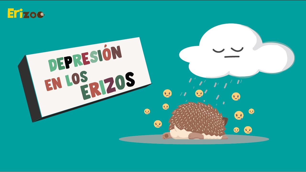 Depresión en los erizos | Erizoo México