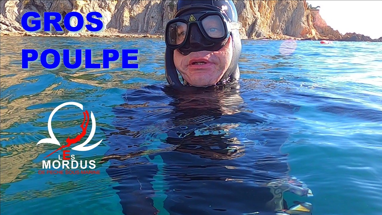 Sortie difficile en pêche sous-marine… puis ce poulpe apparaît ! 🐙24 février, Ensuès la redonne.