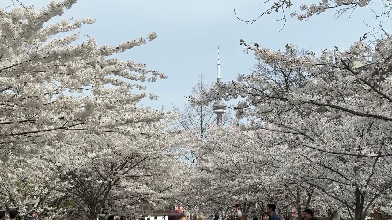 April in Toronto - 2023