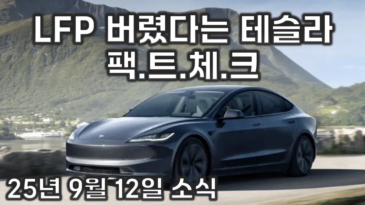 테슬라가 버린 LFP 배터리 ? 팩트체크