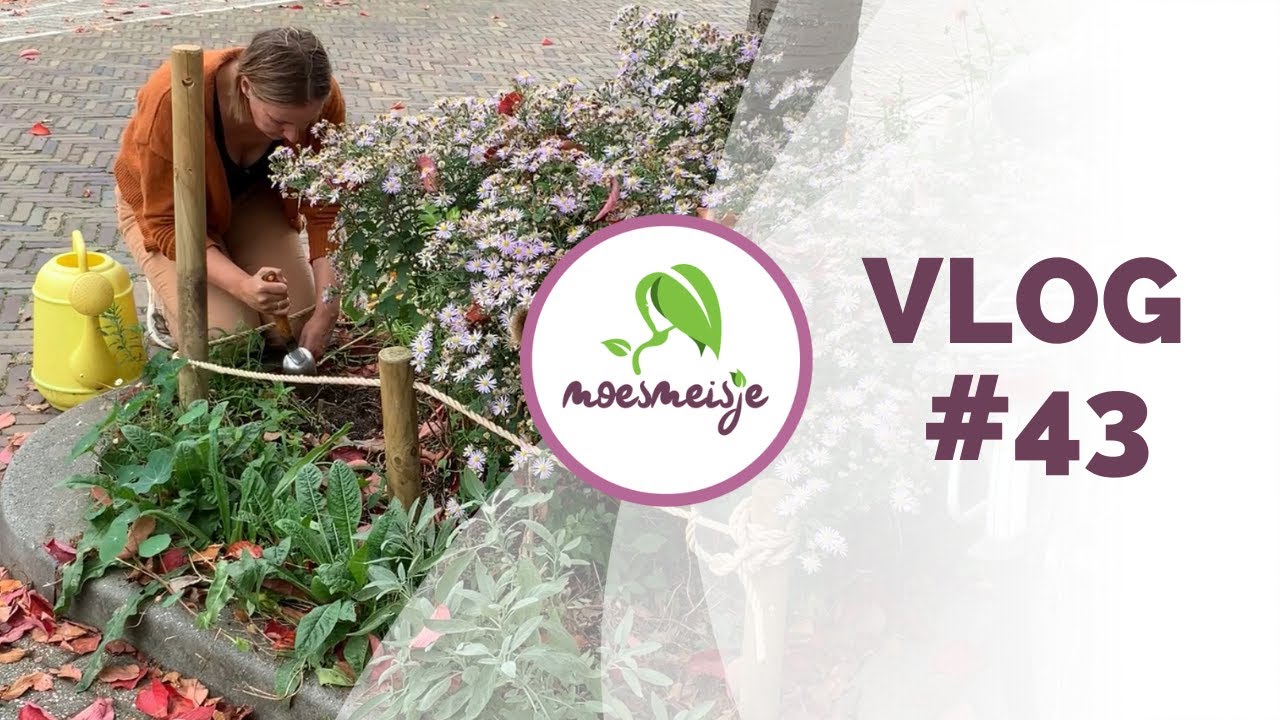 MOESTUIN VLOG #43 | Aardpeersoep maken, boomspiegel beplanten, leuke tips voor weeuwenteelt en meer!