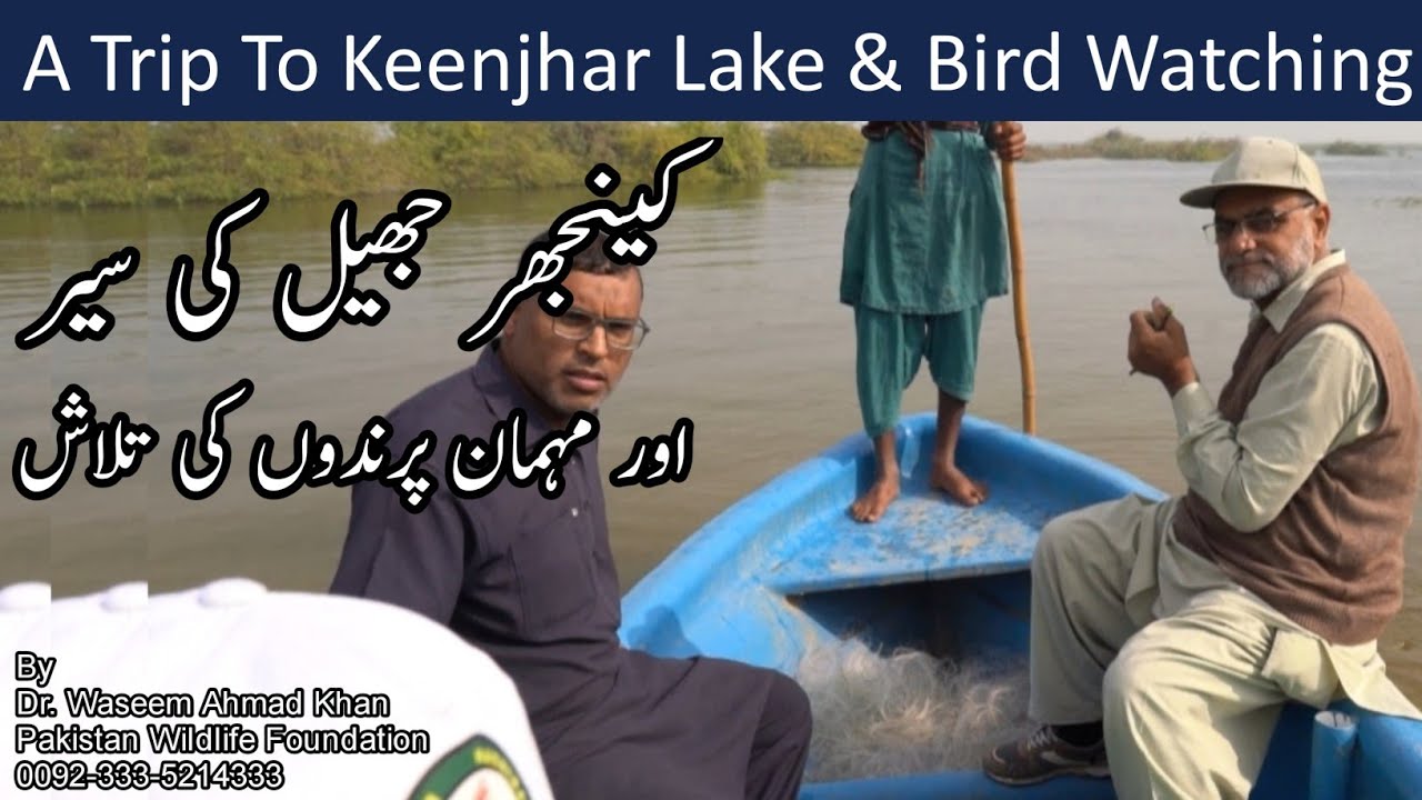 Bird Watching In Keenjhar Lake | Keenjhar Jheel Ki Sair Or Mehman Parindon Ki Talash | Keenjhar Lake