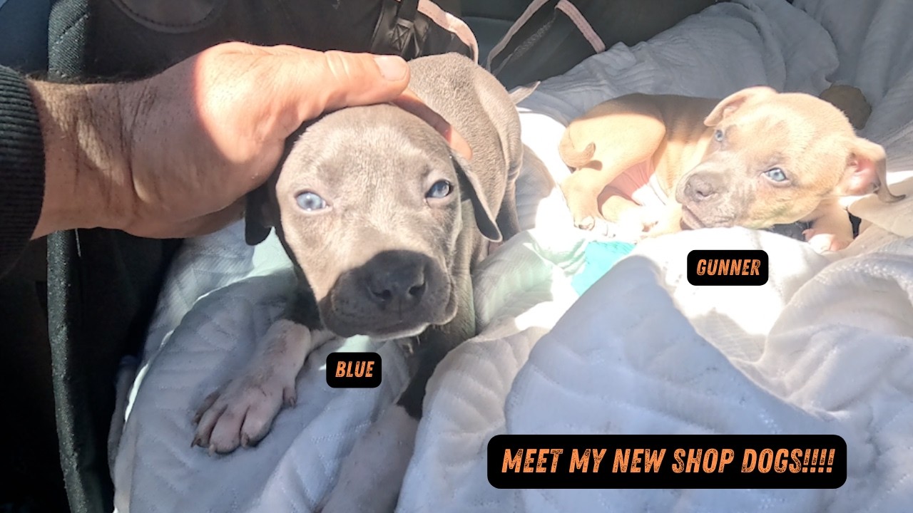 Copper King Ranch: Short & Sweet! Exciting New Updates!!!
