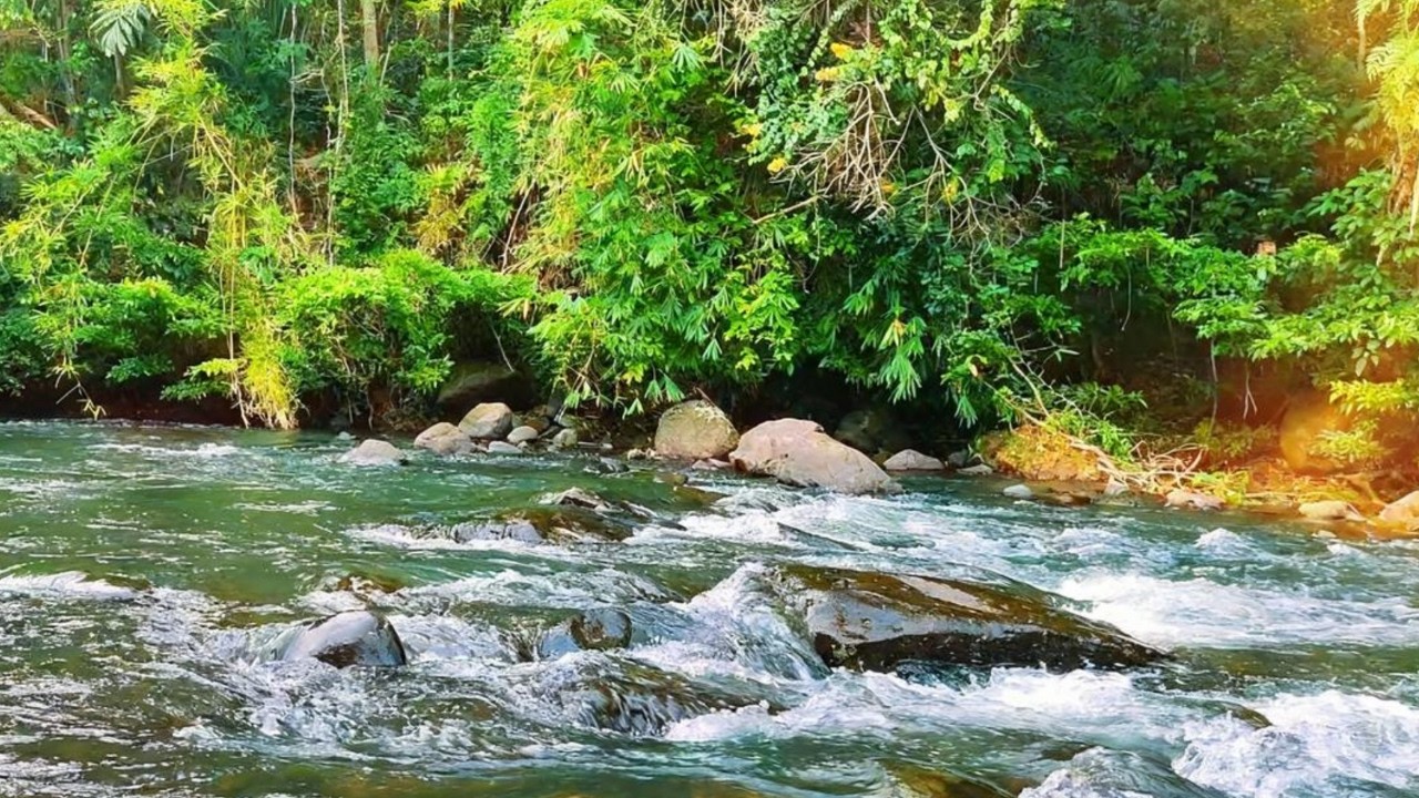 Pure Flowing River Sounds 🍃 Natural White Noise for Focus