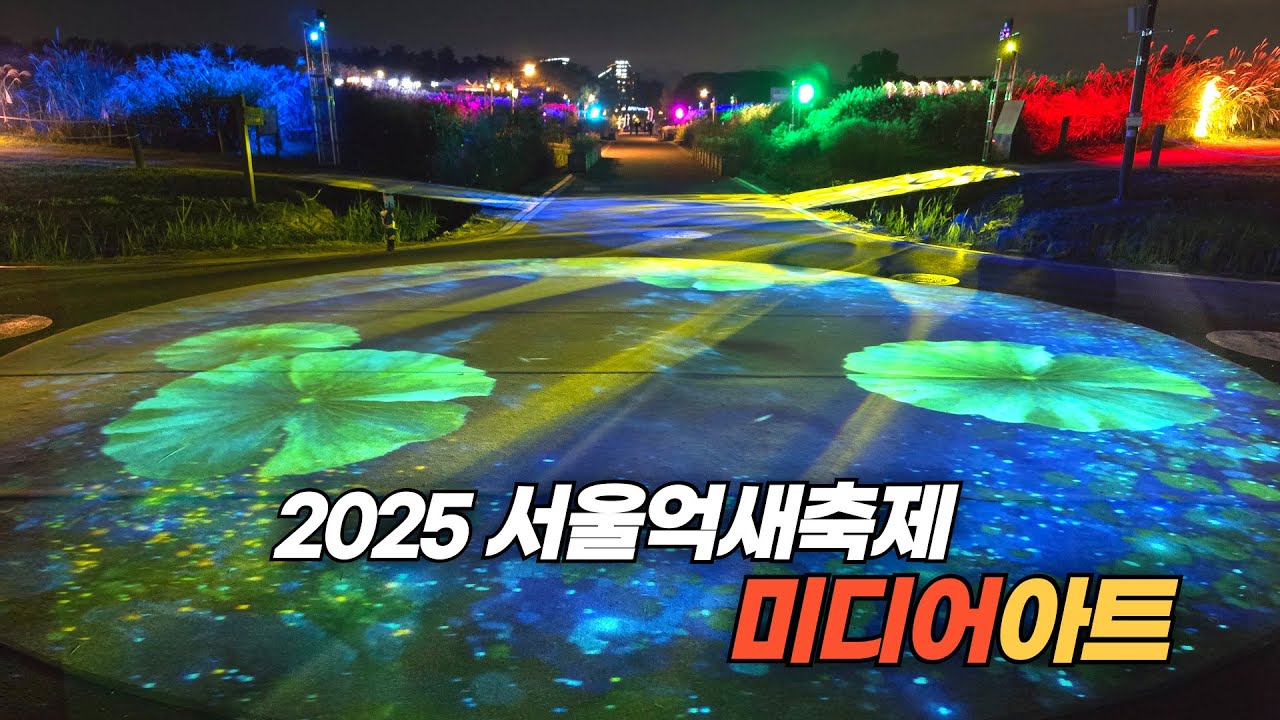 2025 서울억새축제 화려한 야간 미디어 아트 Media Art of Seoul Silvergrass Festival 2025
