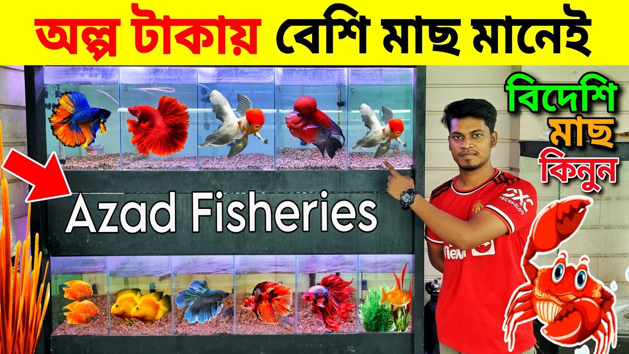 Aquarium Price In Bangladesh🐠Aquarium Fish Price In Bangladesh 😱 Aquarium Fish Price 2023 ||