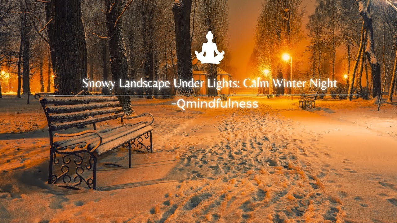 Snowy Night Ambience: Winter Trees and Soft Lights