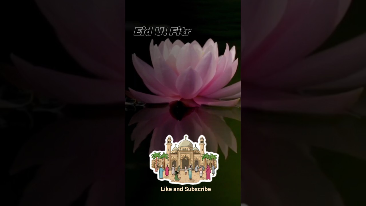 Tomorrow is Eid #eid #inspiration #islam #youtubeshorts #family