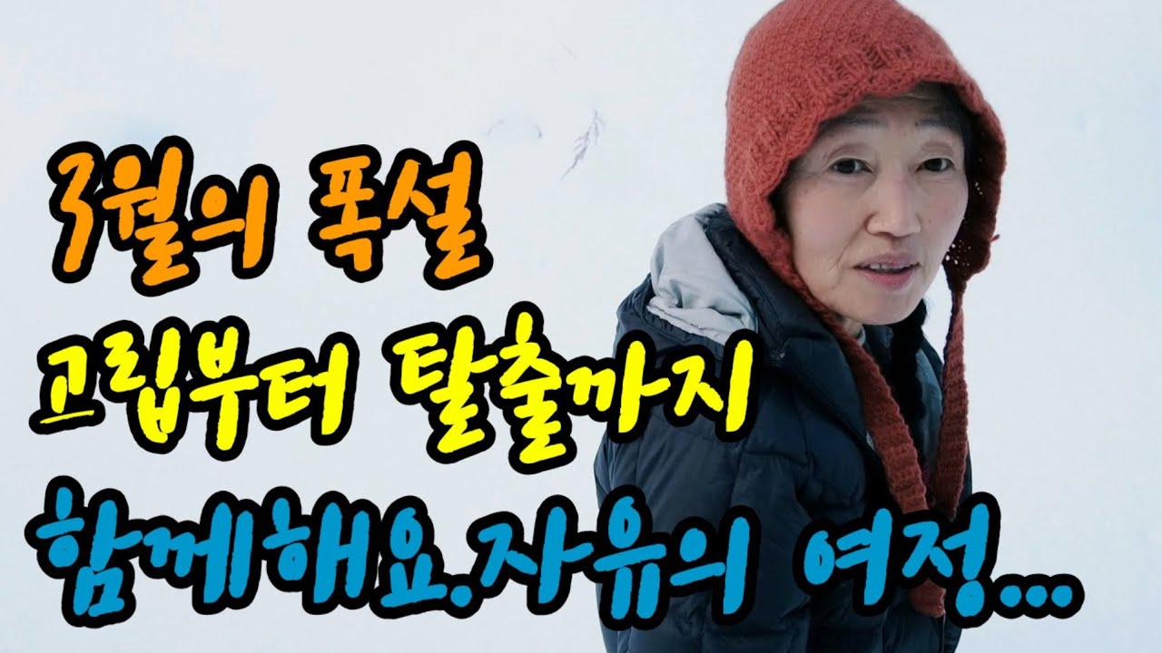 곰배령Vlog 폭설이 내린 날  고립과 탈출을  함께  즐기며