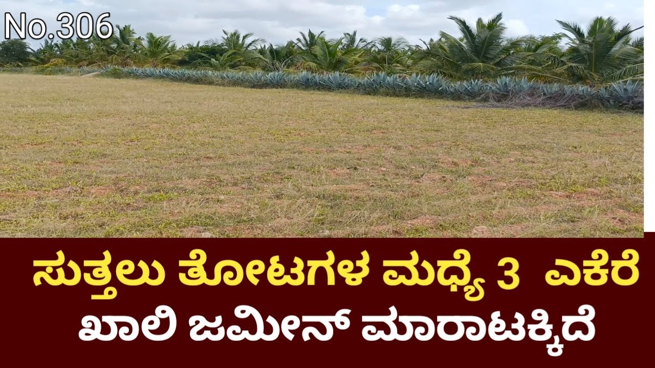 General Property Agriculture Land Sale Near Vedavathi River Challakere Chitradurga District
