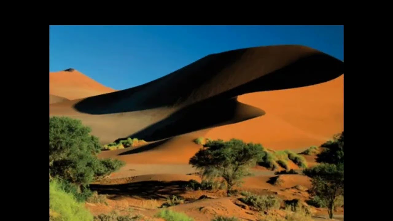 New Dubstep Chill music 🎶 Tropical Wonder By BlueDream1mill.  