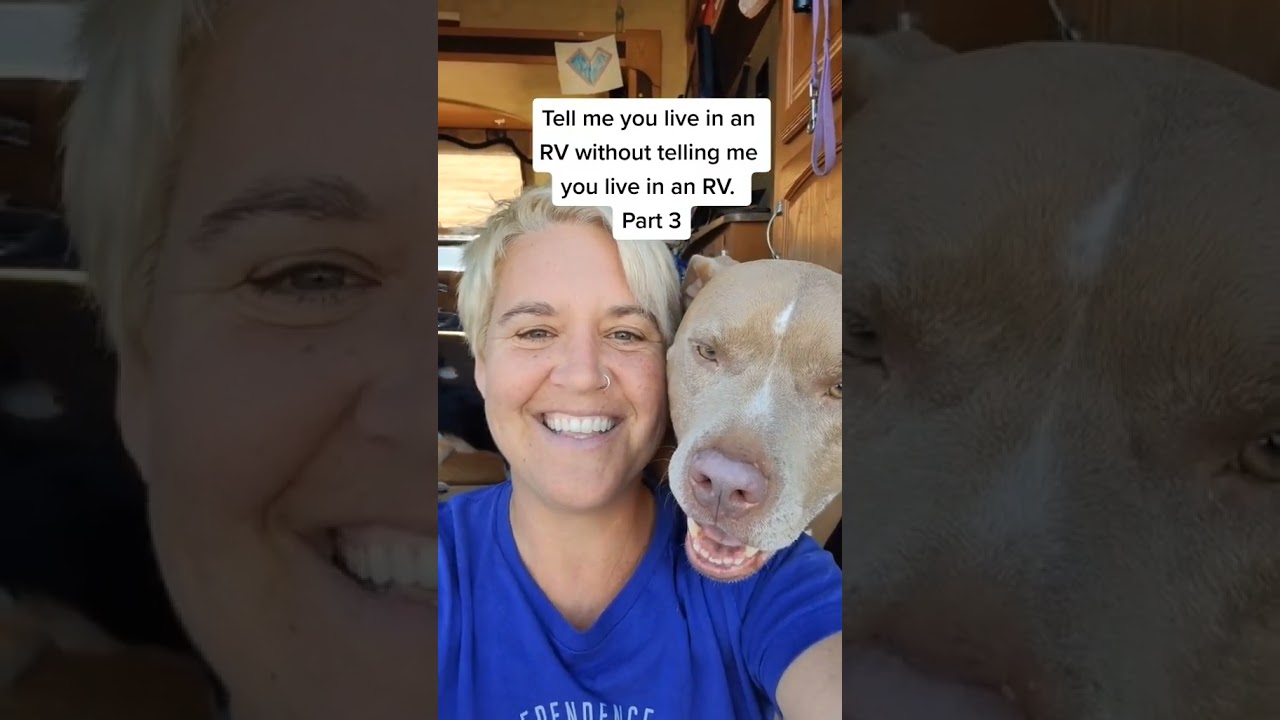 If you know, you know #shorts #rvingwithdogs #travelingwithdogs #dogcare #dog #dogtravel #iykyk