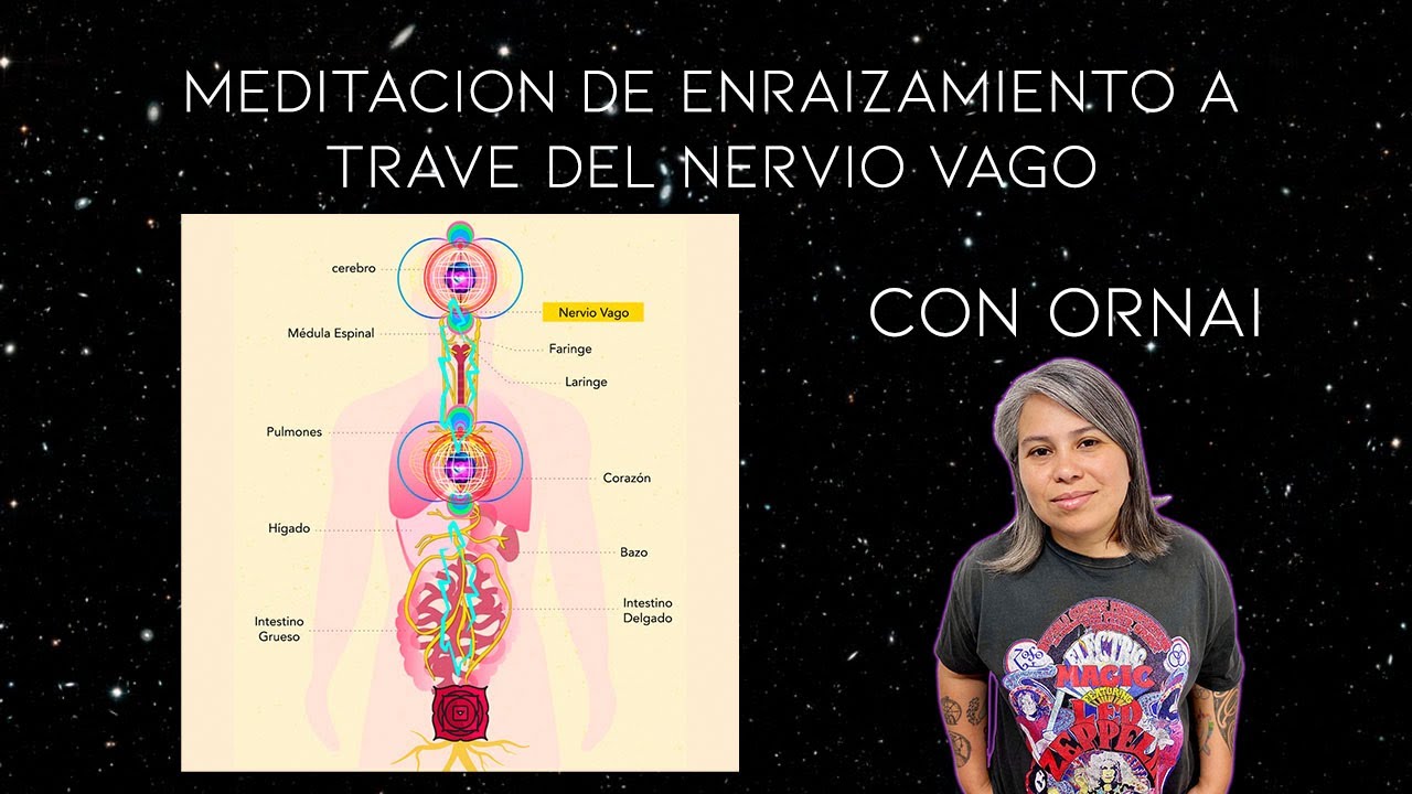 Enraizamiento a trav&eacute;s del Nervio Vago