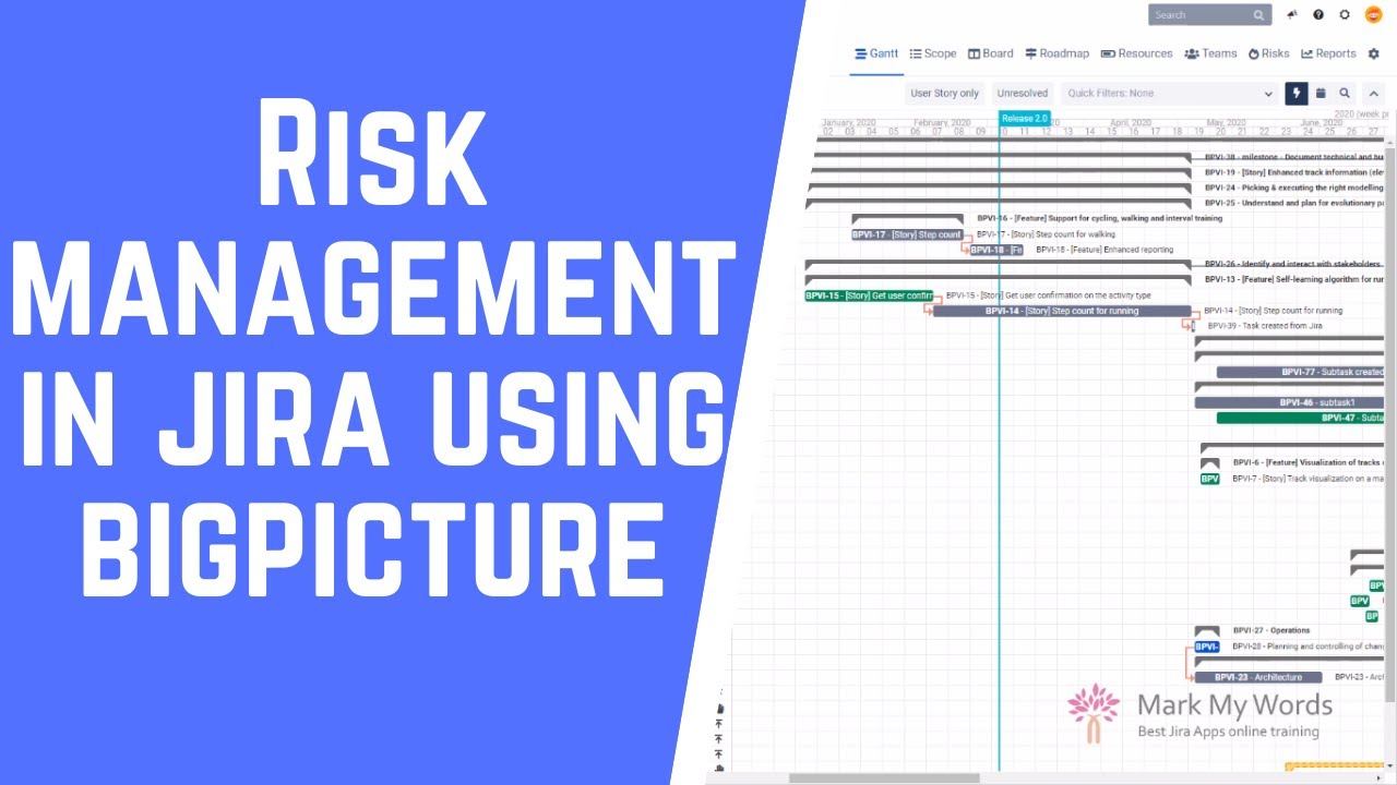 Risk Management in Jira using BigPicture