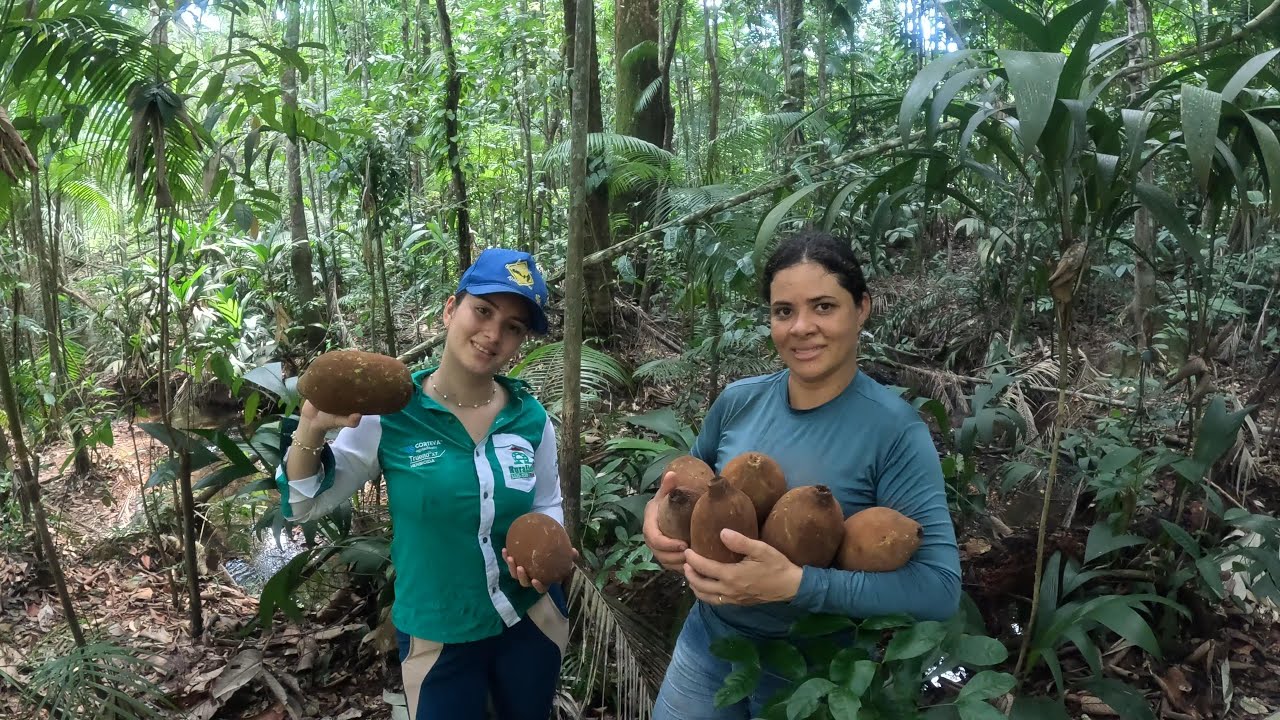ENTRAMOS NA MATA FECHADA A PROUCURA DE FRUTAS E ENCONTRAMOS MUITAS