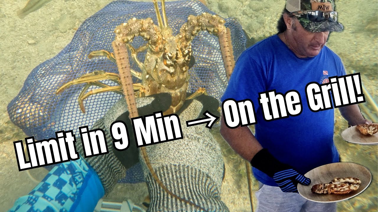 Вылов омара за 9 минут! 🦞 Поймайте и приготовьте в стиле Флоридских Кисов!
