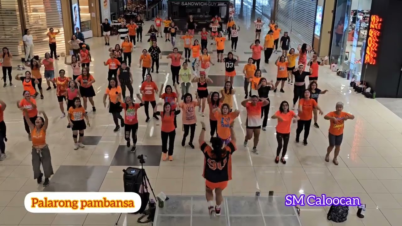 Palarong Pambansa, Dance Fitness