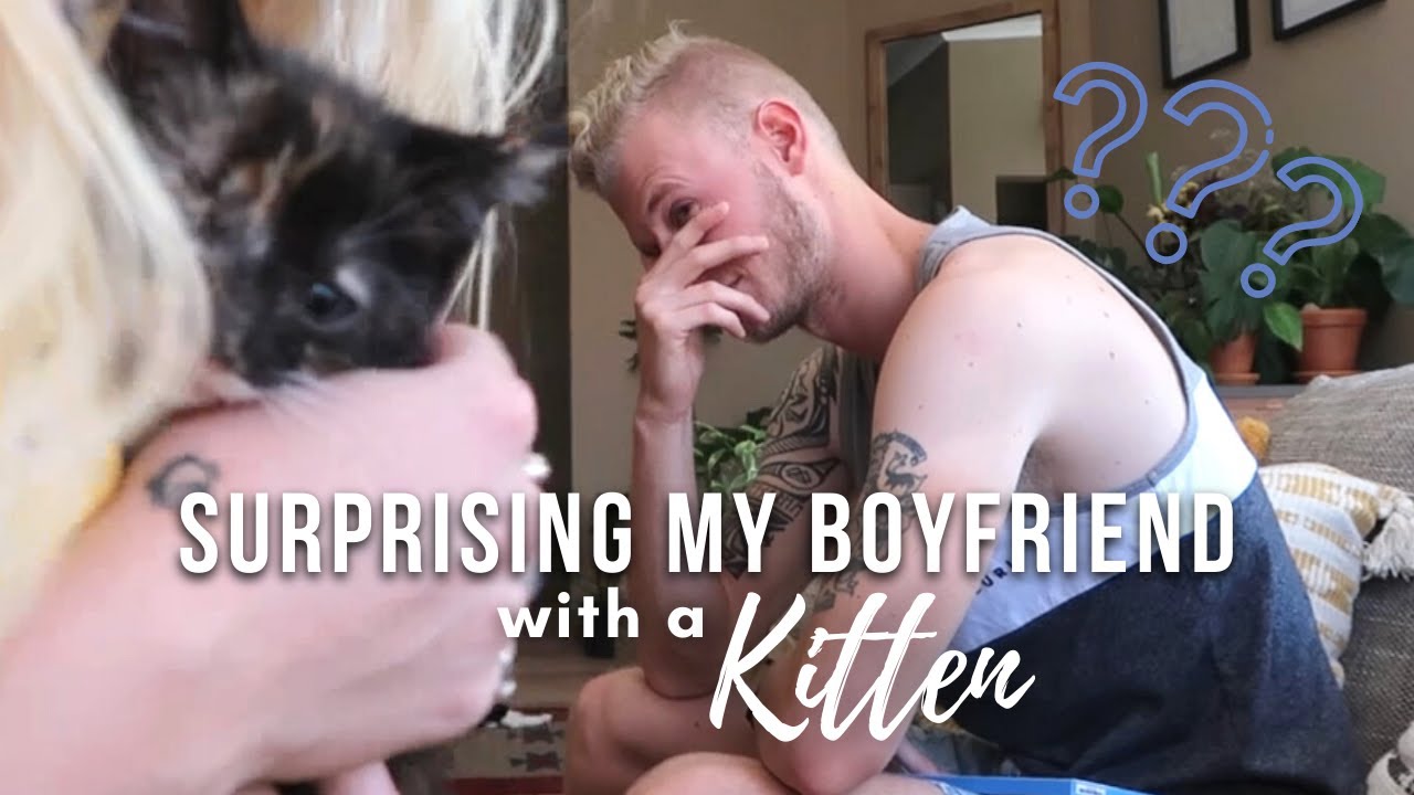 SURPRISING MY BOYFRIEND with a KITTEN | He was shocked!!