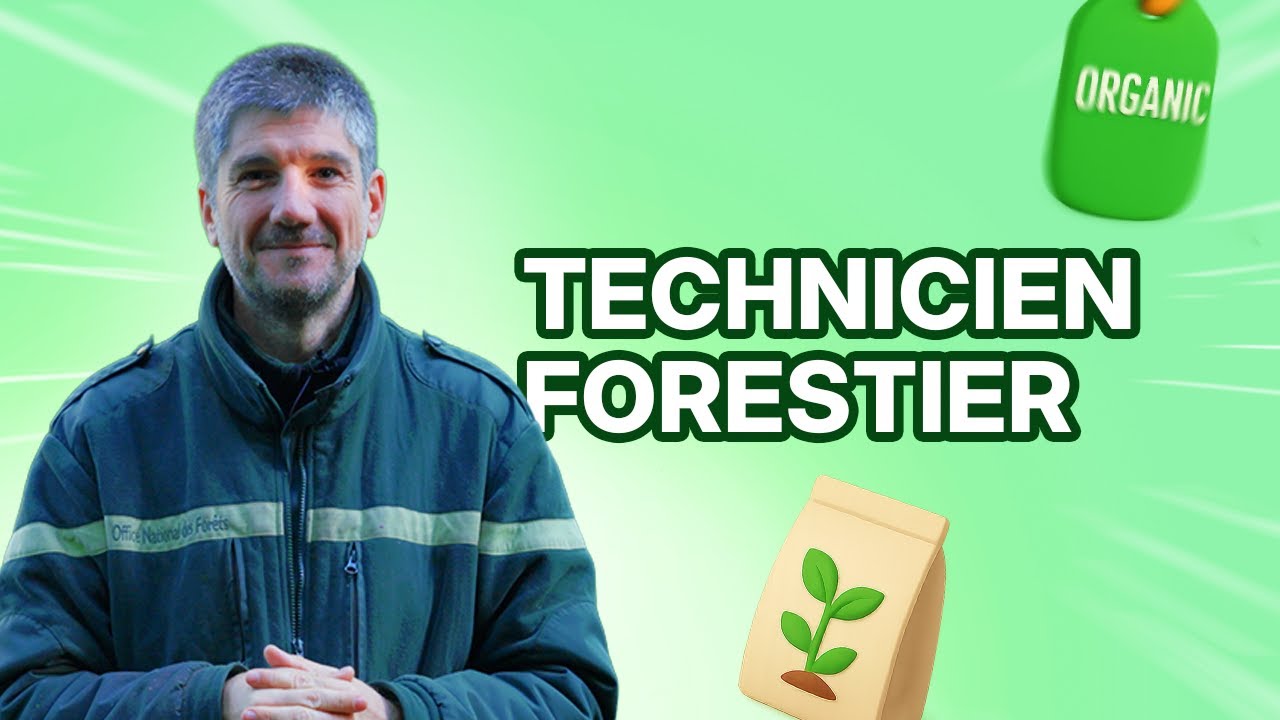 TECHNICIEN FORESTIER : travailler au c&oelig;ur de la for&ecirc;t (missions, salaire...)
