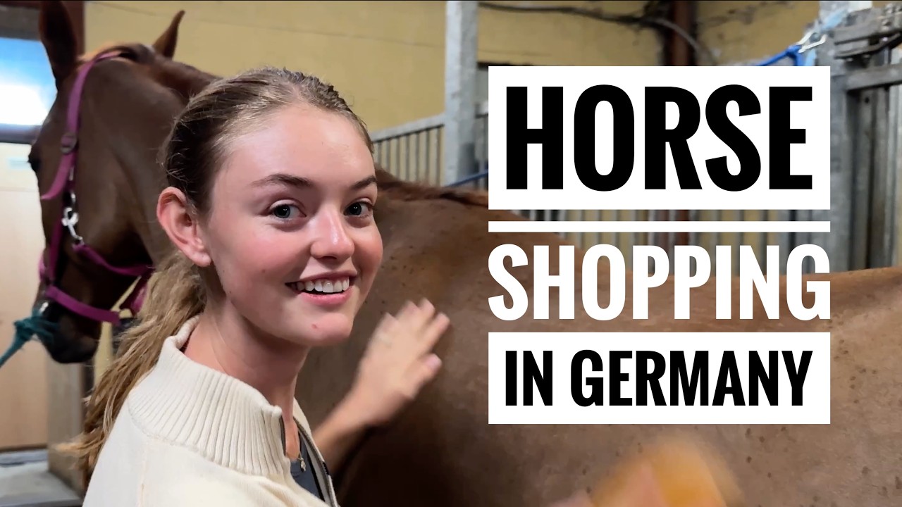 Day two vlog of horse shopping in Germany with Willow Hand