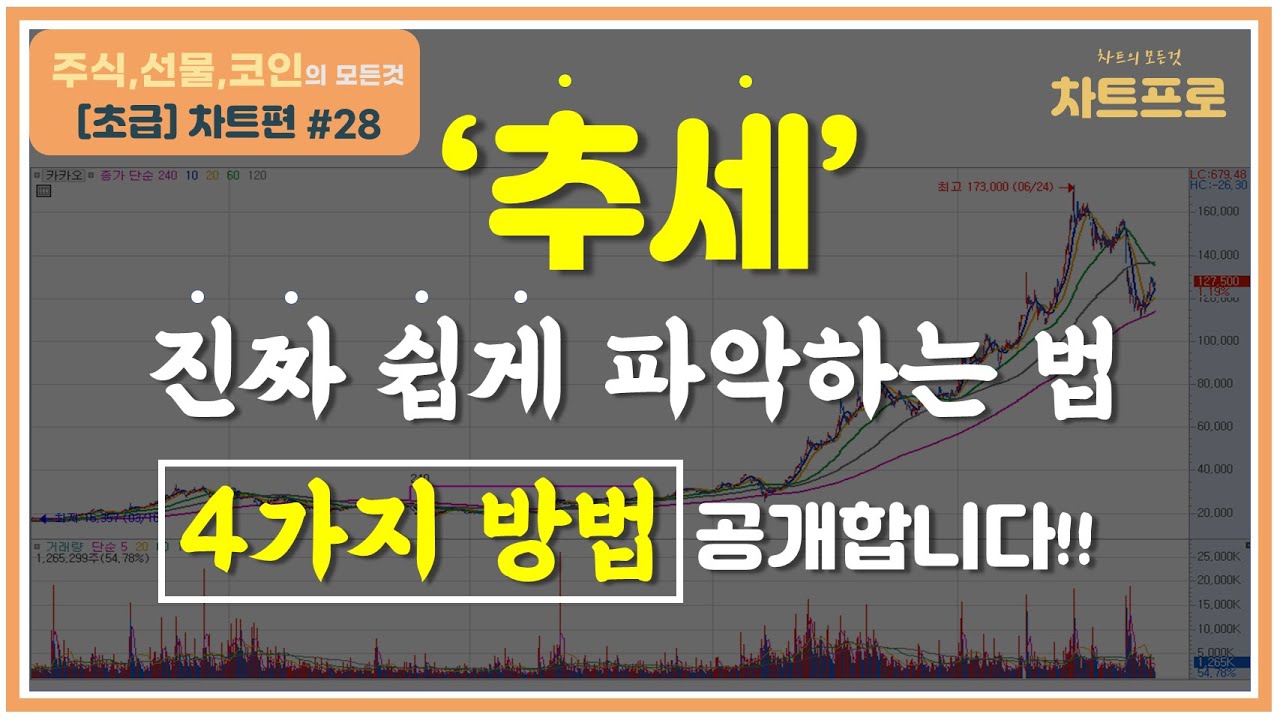 【초급-차트편#28】 