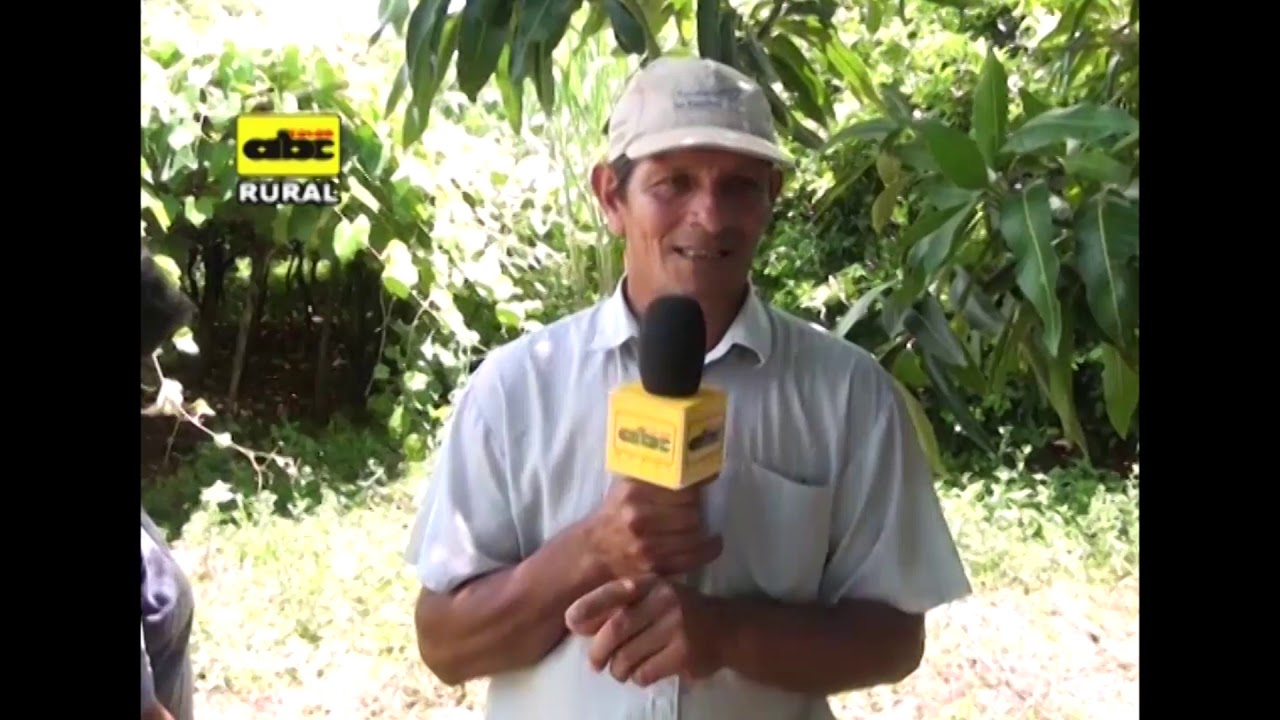Producción de uvas fuera de estación