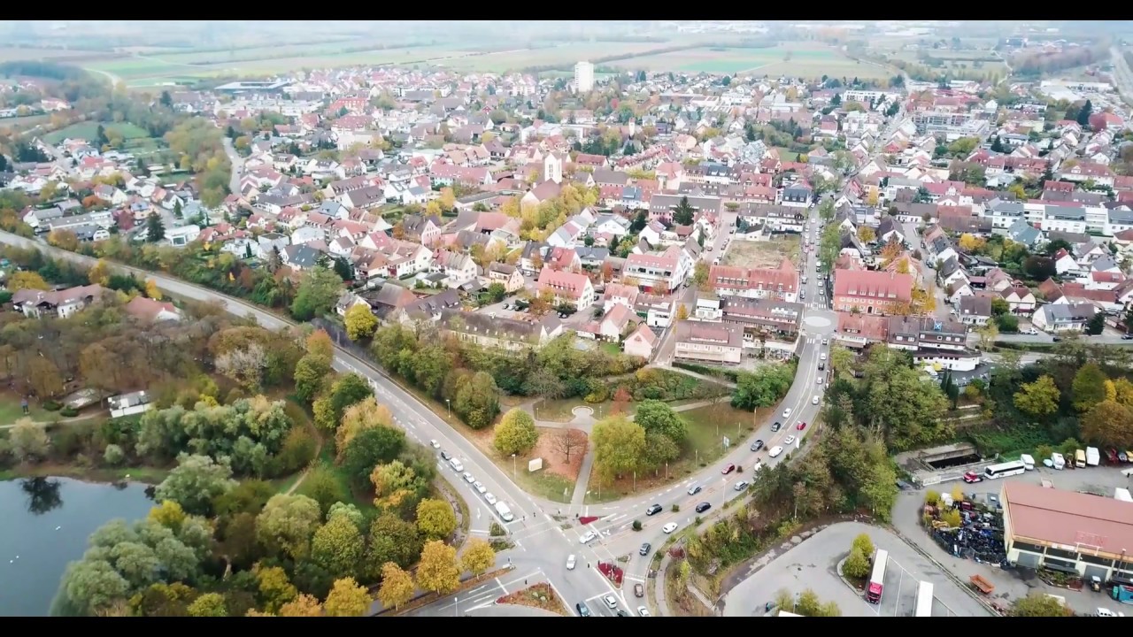 Рейн
