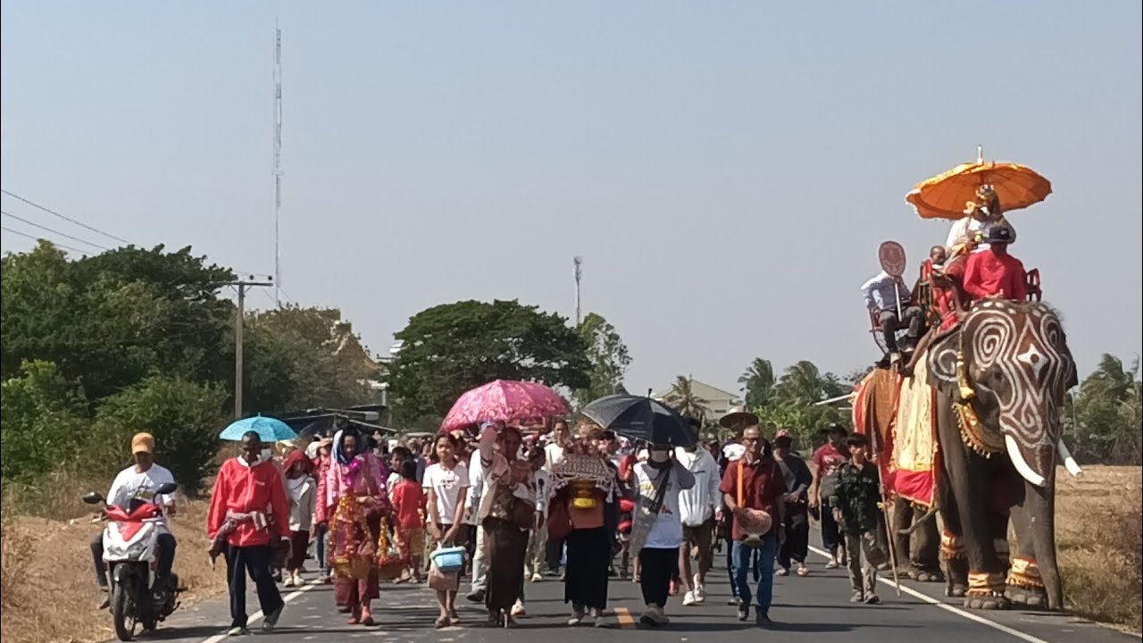 ขบวบแห่นาค ช.ช้าง ณ นครบ้านพันษี