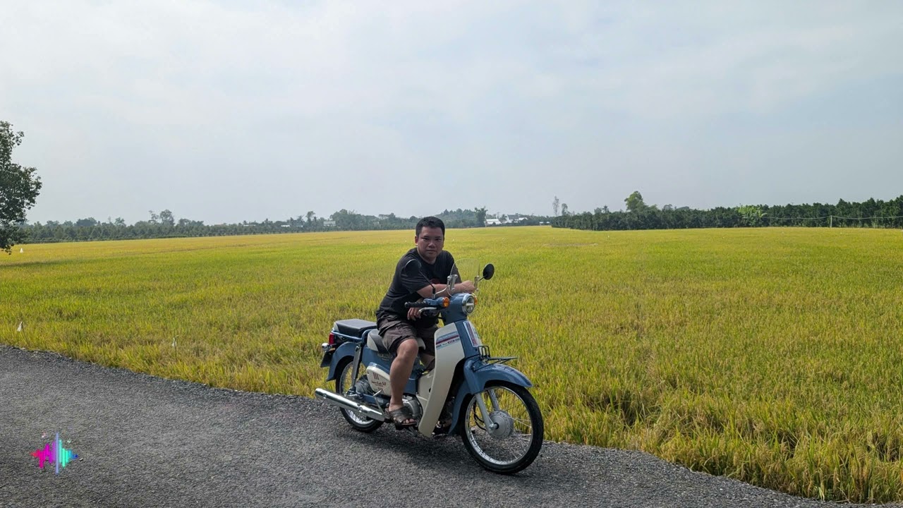 Chiếc xe kỷ niệm của tuổi thơ tôi - Honda Super Cub 50