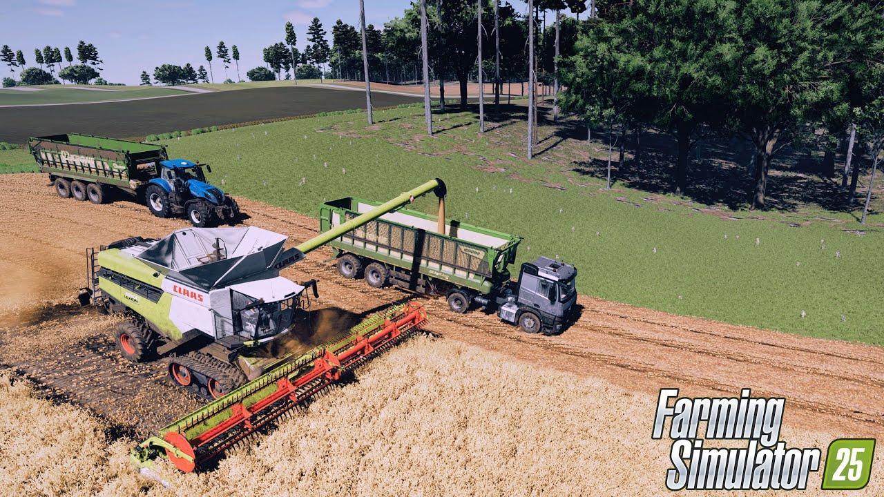 FS25 Realistic Graphics | Claas Lexion 8900 Wheat Harvest | Reshade Gameplay