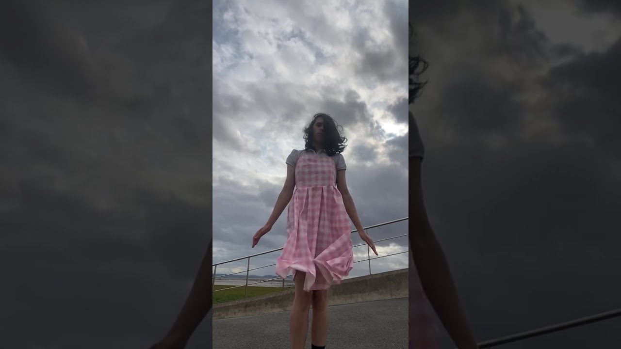 Windy Pink Dress